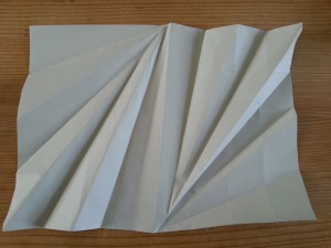 OCA - MMT - Assignment 1 - folding and crumpling